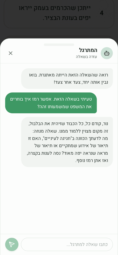 ניסוח מחדש: טעיתם, והמתרגל עוזר לכם להבין את הביטוי